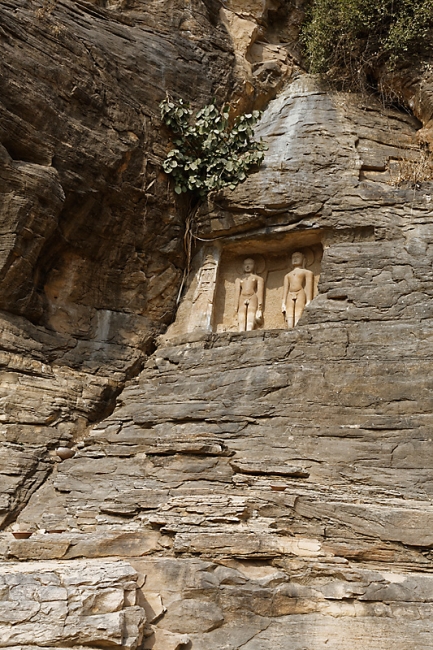 Gwalior-Statues jaïnes-071